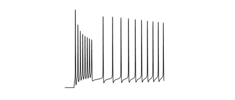 Graph showing myotonic discharges in simulated paramyotonia congenita.