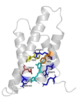 HIF docking in VSDII