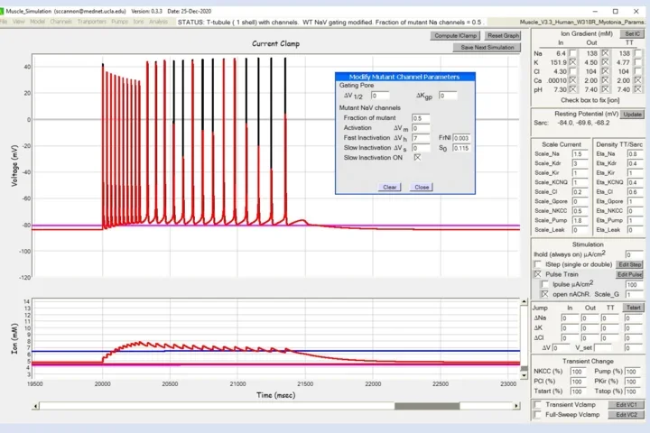 simulated myotonia with KTT